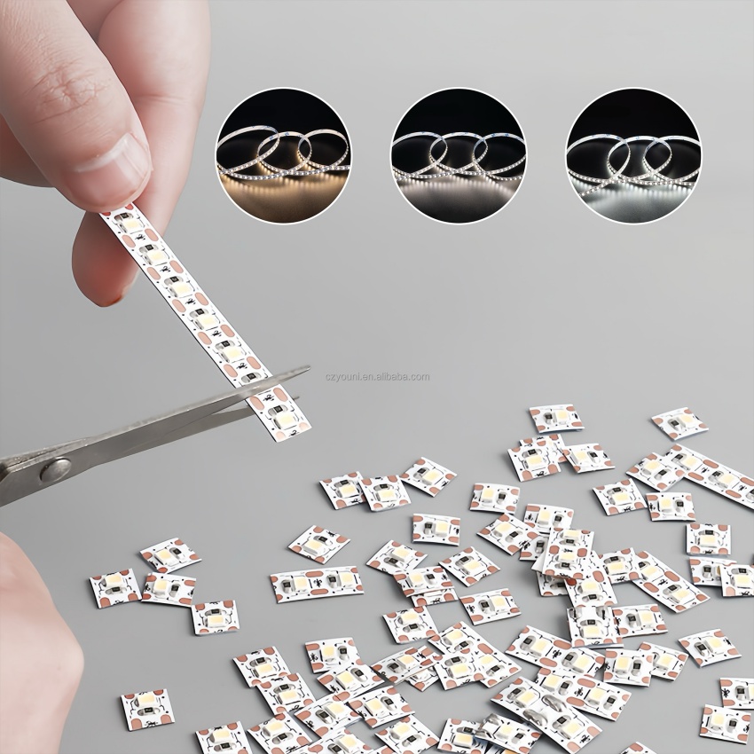 4. 1 led 1 cut-5.jpg