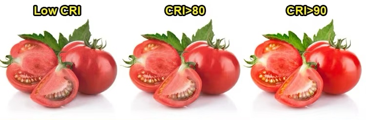 CRI OF STRIP_副本.jpg